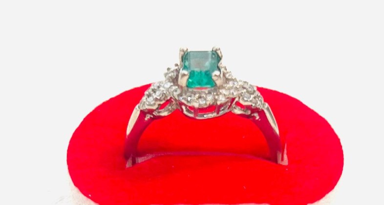 photo_1_2025-10-22_06-13-40